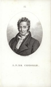 Augustin Pyramus de Candolle af Swiss School