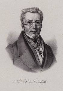 Augustin Pyramus de Candolle, schweizisk botaniker (gravering) af Swiss School