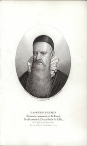 Gaspard Bauhin af Swiss School