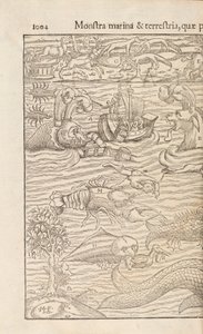 Side 1004 fra Cosmographiae Universalis af Sebastian Muenster, Basel, 1572 af Swiss School