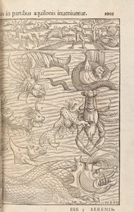 Side 1005 fra Cosmographiae Universalis af Sebastian Muenster, Basel, 1572 af Swiss School