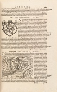 Side 983 fra Cosmographiae Universalis af Sebastian Muenster, Basel, 1572 af Swiss School