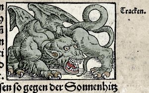 Repræsentation af en drage: gravering fra Johann Stumpffs "Den Noble Strict Best Fromen". 1550 af Swiss School