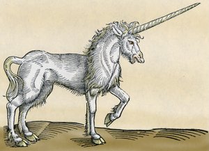 Enhjørning, illustration fra Historia Animalium af Conrad Gesner, 1551