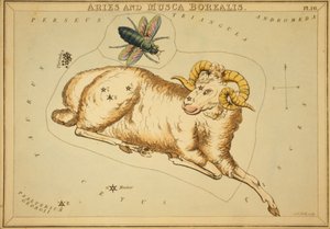 Vædderen og Musca Borealis, Illustration fra 