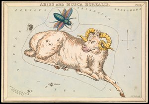 Vædder og Musca borealis, ca. 1825 (kort, papir, væv) af Sydney Hall