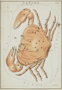 Kræft, Illustration fra 