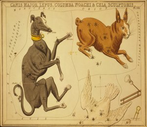 Canis Major, Hare, Noah