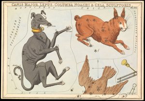 Canis Major. Lepus, Columba Noachi  Cela Sculptoris, ca. 1825 (kort, papir, silkepapir) af Sydney Hall