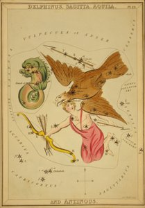 Delphinus, Sagitta, Aquila og Antinous, Illustration fra 