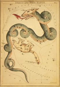 Draco og Ursa Minor, Illustration fra 
