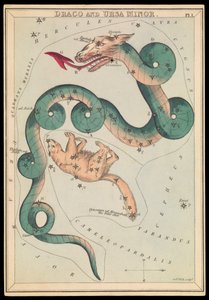 Draco og Lille Bjørn, ca. 1825 (kort, papir, silkepapir) af Sydney Hall