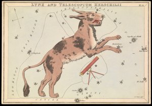Lynx og Telescopium Hereschilii, ca. 1825 (kort, papir, væv) af Sydney Hall