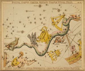 Noctua, Raven, Crater, Urania Sextans, Hydra, Felis, Lupus, Centaurus, Antlia Pneumatica, Argo Navis og Pyxis Nautica, Illustration fra 