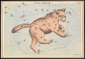 Ursa Major, ca. 1825 (kort, papir, væv) af Sydney Hall