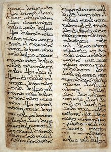 Tilføje. 14425, f.31, Tekstside fra Pentateuk. (Første Mosebog, Anden Mosebog, 4. Mosebog, Femte Mosebog), 464 (vellum) af Syrian Syrian