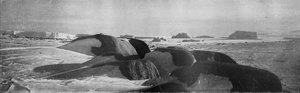 Granitblokke høvlet af gamle gletsjere ved Cape Roberts, c1911, 1913.