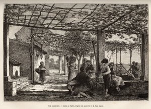 Villa Menton, gravering efter Taylors tegning, der illustrerer rejsen af Menton og Bordhighera, i 1871, af Adolphe Joanne, udgivet i "Le tour du monde"" 1874, redigeret af Edouard Charton, Hachette-udgaven, Paris. Selva samling.