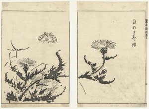di s te ls en v in r gahon shinkoku makiage af Tachibana Morikuni (attributed to)