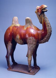 Kamel, Tang-dynastiet (polykrom glaseret keramik)