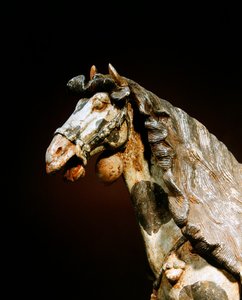 Detalje af en hest, slutningen af 7. - begyndelsen af 8. århundrede (lertøj med spor af pigment og forgyldt) af Tang Dynasty Chinese School