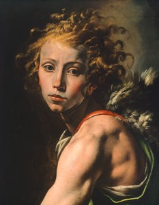 Davidsfigur, detalje fra David med Goliats hoved, af Tanzio da Varallo (1575-1635) af Tanzio da Varallo