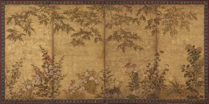 Mimosatræ, valmuer og andre sommerblomster, Edo-perioden, 1630-1670. af Tawaraya Sosetsu