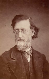 Portræt af John Peter Lesley 1819-1903, december 1875. af Taylor and Brown
