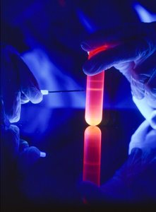 Udvinding af nukleotider af RNA fra et centrifugerør af plast. af Ted Spiegel