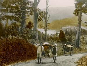 Japansk pige i en Kago, Hakone-regionen, ca. 1900 - 1915 (fotografi)
