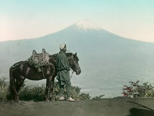 Japansk mand med hest på Mount Otome, toga og kigger på Mount Fuji, ca. 1900 - 1915 (fotografi)