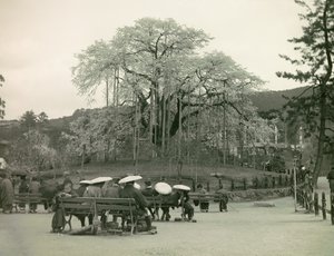  af Teijiro Takagi