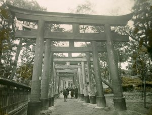 Torii i Inari Kyoto-helligdommen, ca. 1900-1915 (fotografi)