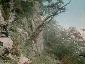 på vejen til Kegon-vandfaldene i Nikko, ca. 1900 - 1915 (fotografi) af Teijiro Takagi