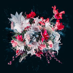 Bouquet V, 2018 (foto) af Teis Albers