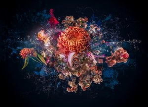 Bouquet collage, 2017 (foto) af Teis Albers