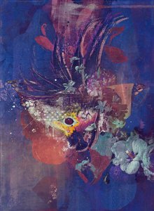 Peacock, 2016 (Collage på lærred)