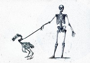 Walking my dodo, 2015 (blandet medier på lærred) af Teis Albers