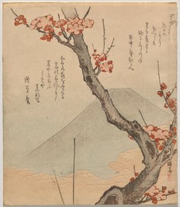 Blommetræ med Mount Fuji