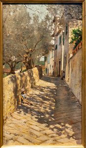 Alley til Capponcina