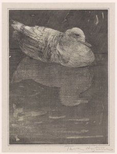 flydende and af Theo van Hoytema (signed by artist)