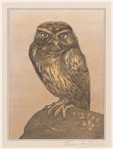 Lille ugle på sten af Theo van Hoytema (signed by artist)