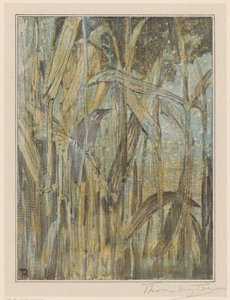 Fugl i sivene af Theo van Hoytema (signed by artist)