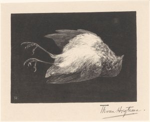 Død Robin af Theo van Hoytema