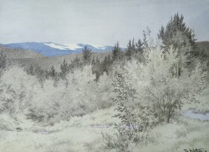 Langt langt væk i skoven af Theodor Kittelsen