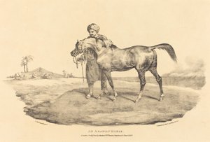 En arabisk hest af Theodore Gericault