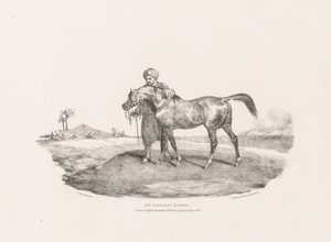 En arabisk hest af Theodore Gericault