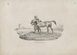 En arabisk hest af Theodore Gericault