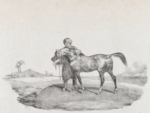 En arabisk hest, 1821 af Theodore Gericault