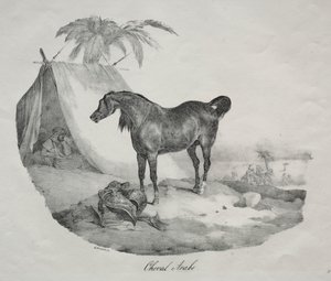 arabisk hest af Theodore Gericault